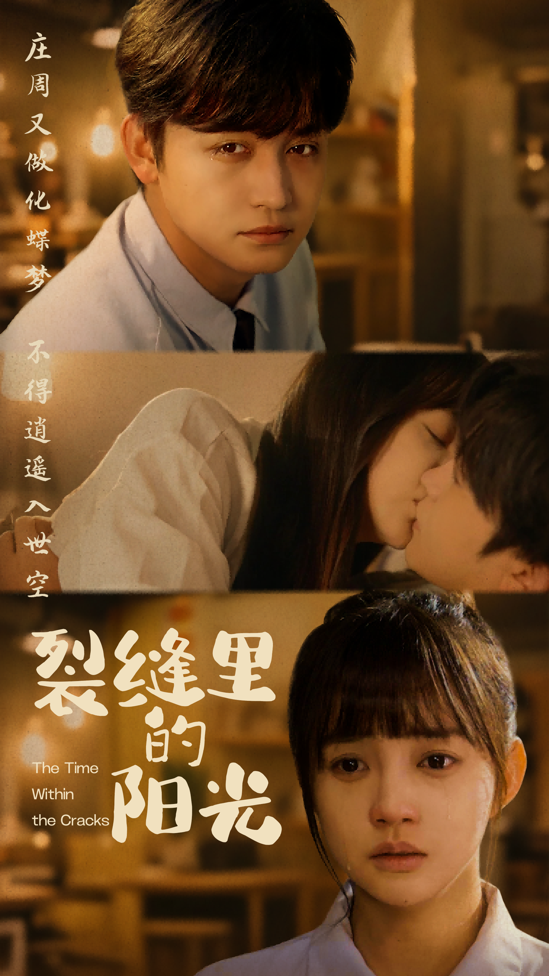 裂缝里的阳光